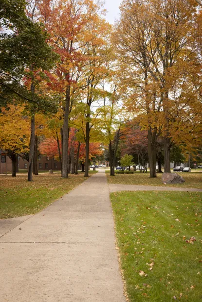 Fall on Campus