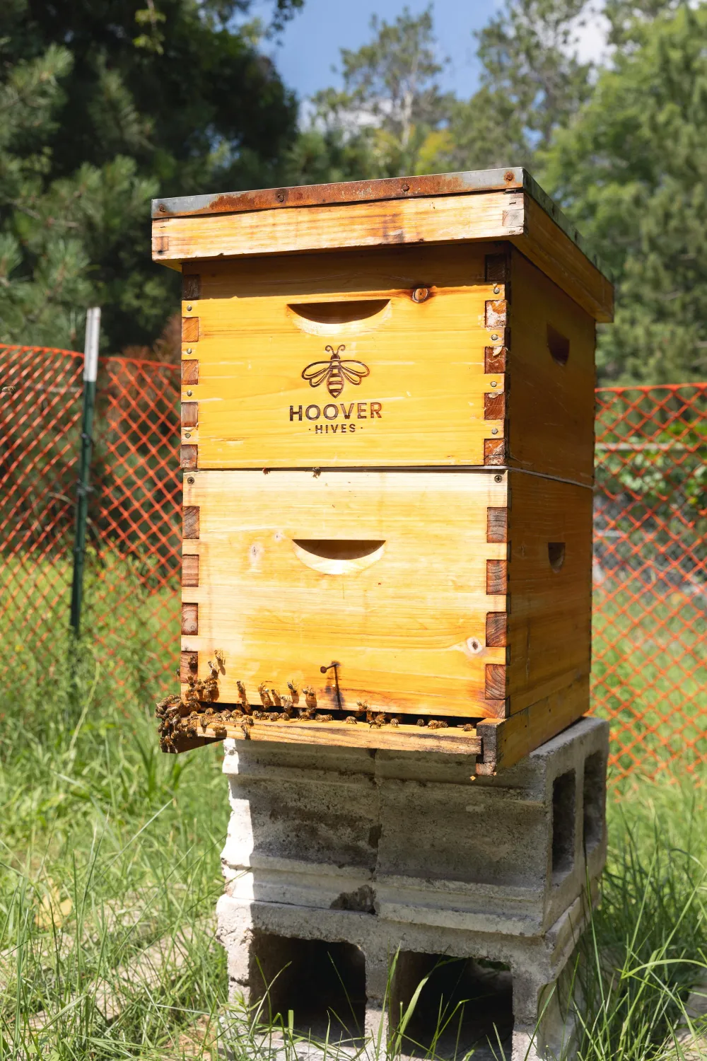two beehive frames 