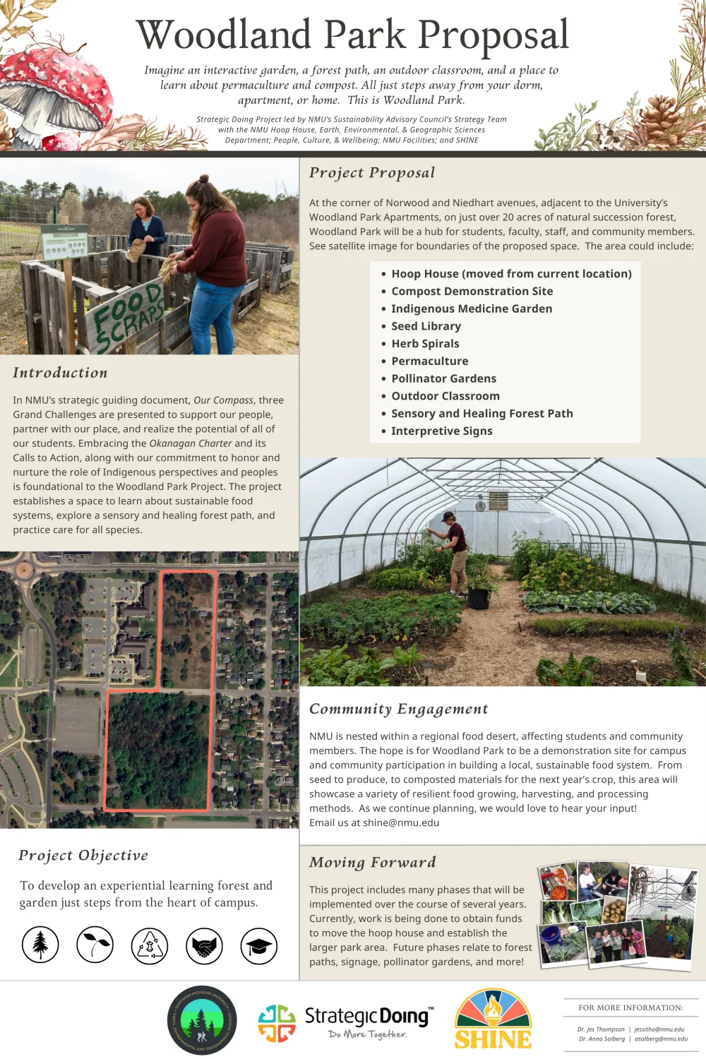 Woodland Park Poster