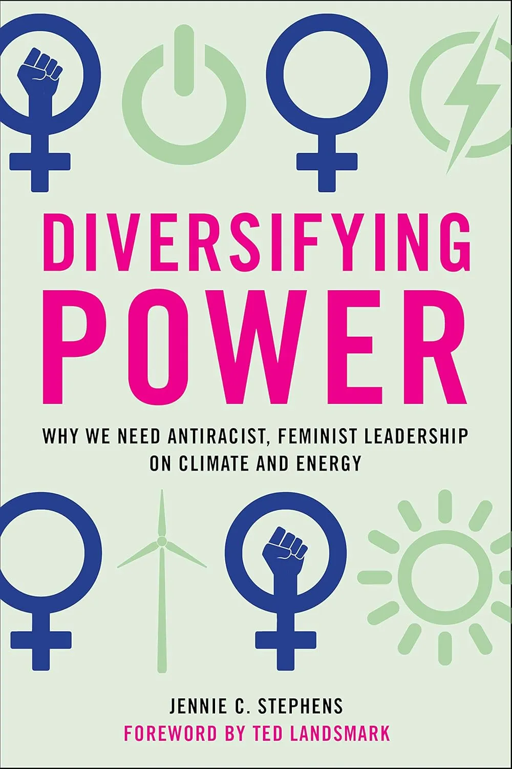 Diversifying Power  Book Cover