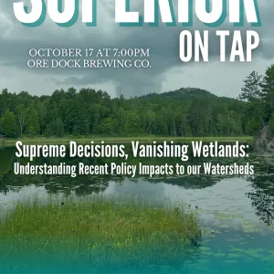 Superior on Tap Poster 