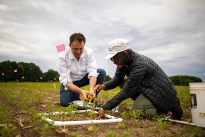 A student and a professor measuring plants for a research project. 