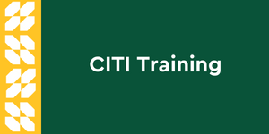 CITI Training clickable button