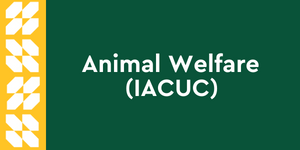 Animal welfare (IACUC) clickable button