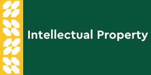 Intellectual Property clickable button