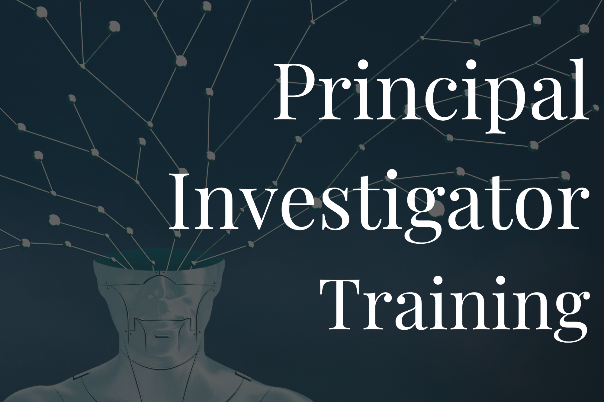 PI Training Abstract Graphic