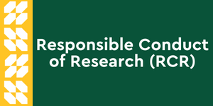 Responsible Conduct of Research clickable button