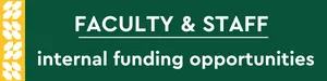 Internal funding opportunity - faculty graphic