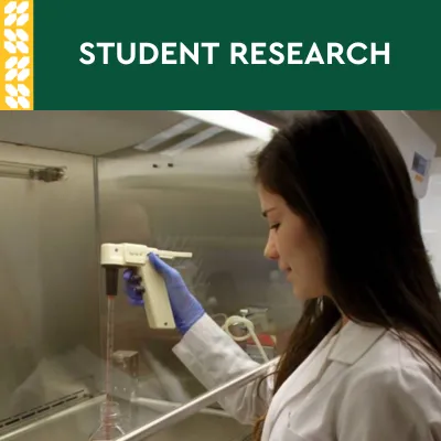 NMU_Student_Research_Graphic