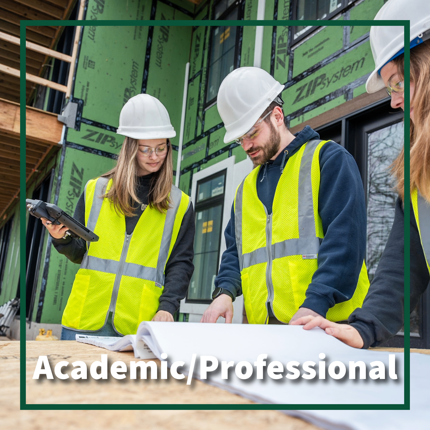 Academic/Professional
