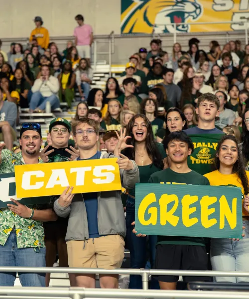 Football Game