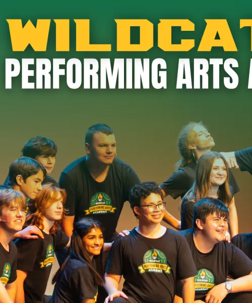 Wildcat Performing Arts Academy Hero