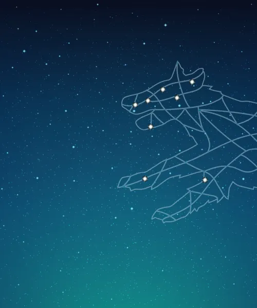 Curious Incident Hero Graphic
