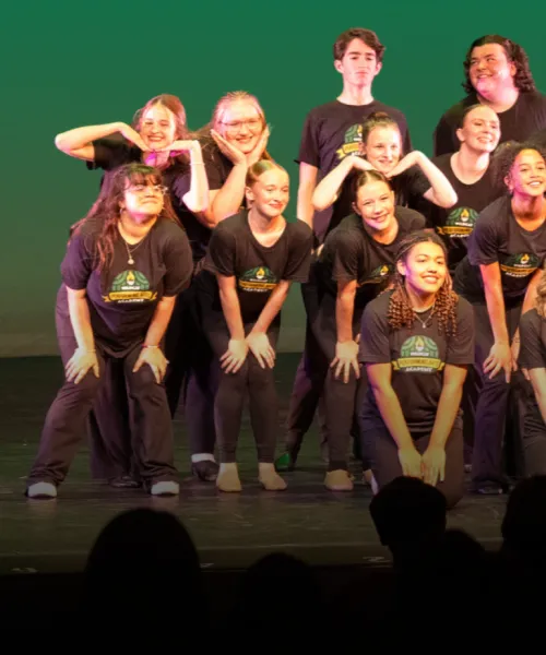 Wildcat Performing Arts Academy Hero Image