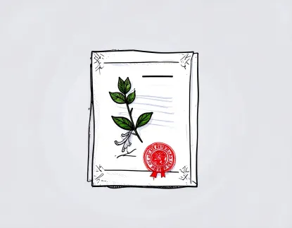 A sketch of a white certificate with a leafy branch and a red stamp