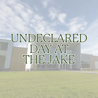 UNDECLARED DAY FLYER
