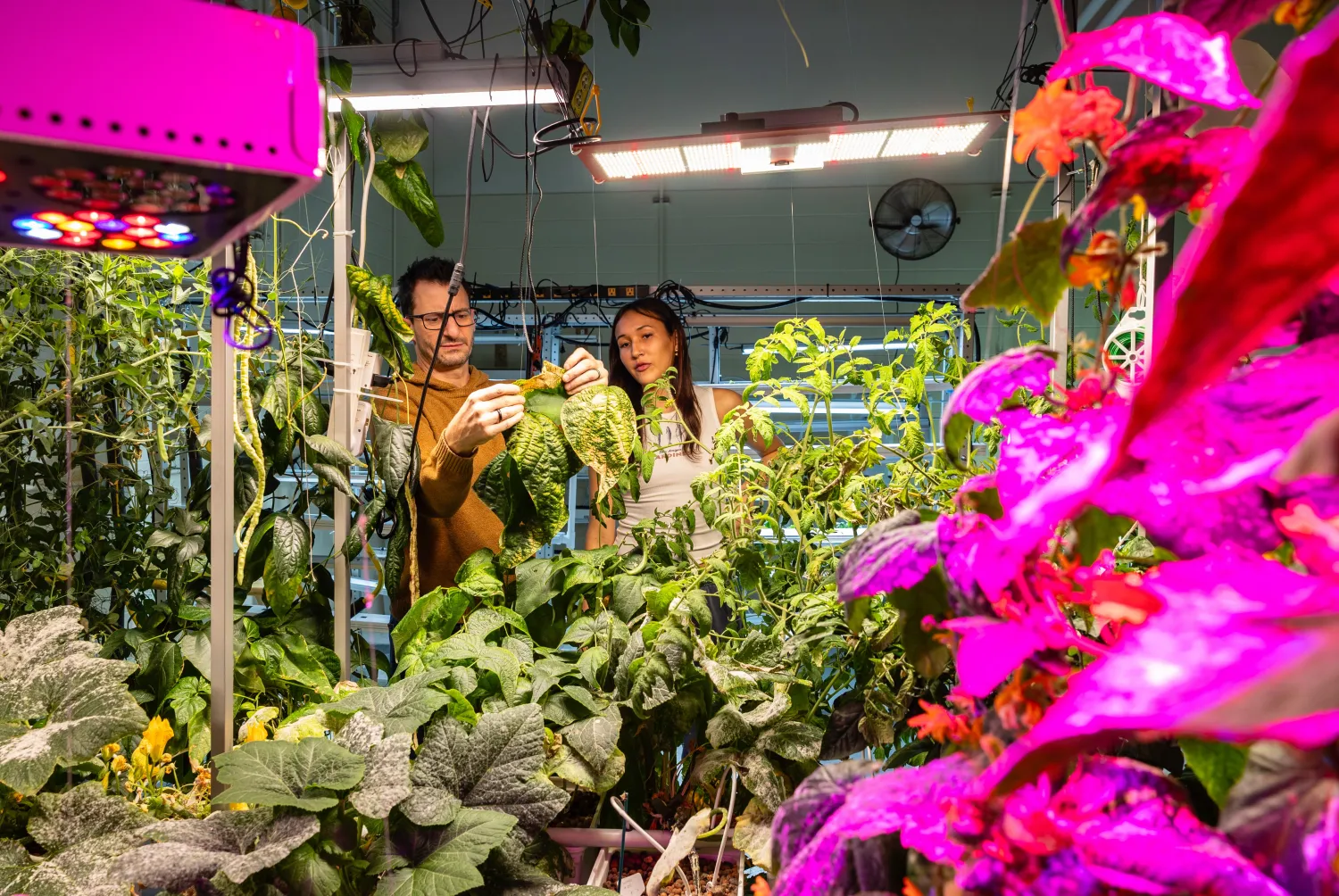 Instructor and student working together