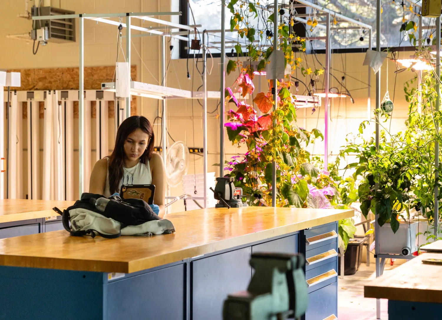 Student works on data collection on iPad