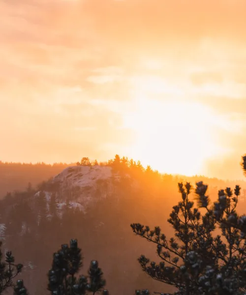 Sunrise