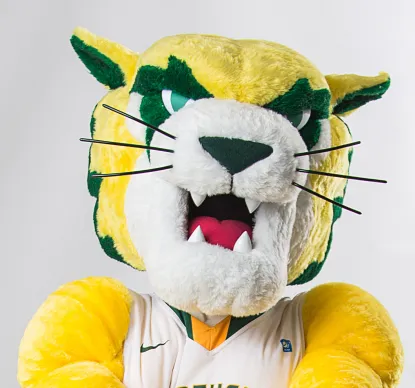 Wildcat Willy