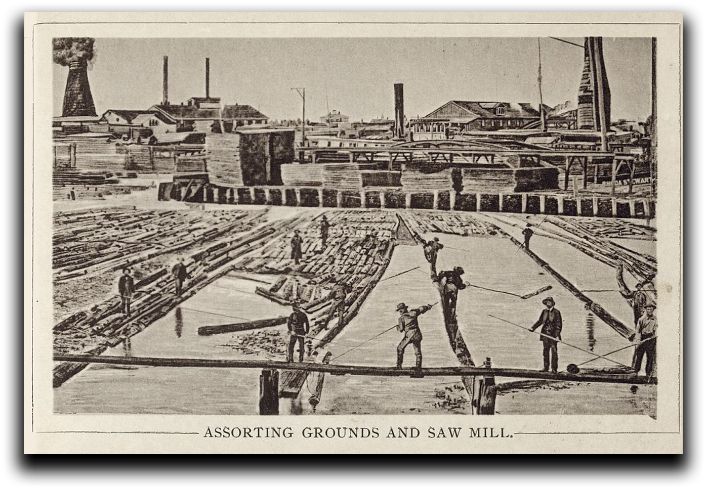 Assorting Grounds and Saw Mill