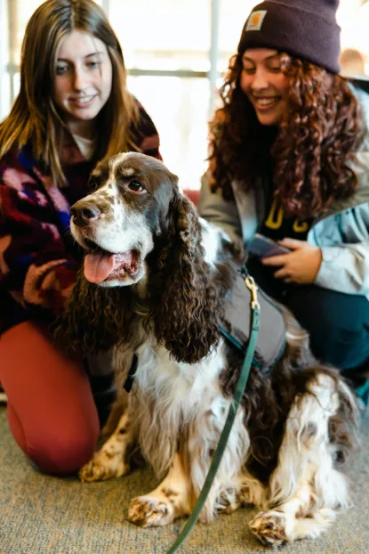 Two young women smile and pet a large, fluffy brown and white dog wearing a vest and leash. The dog looks happy with its mouth open, enjoying the attention indoors.