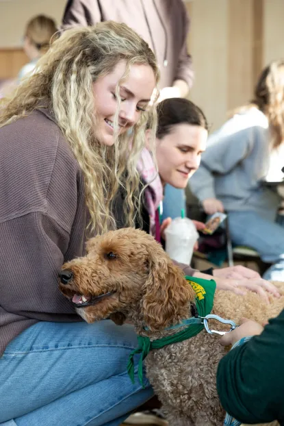 A smiling young woman with curly blonde hair pets a golden doodle wearing a green bandana, while others sit and interact in the background. The scene appears lively and friendly.