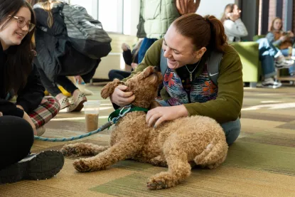 A smiling woman kneels on the floor, petting and playing with a curly-haired dog wearing a green harness, while others sit nearby and watch in a sunny indoor space.