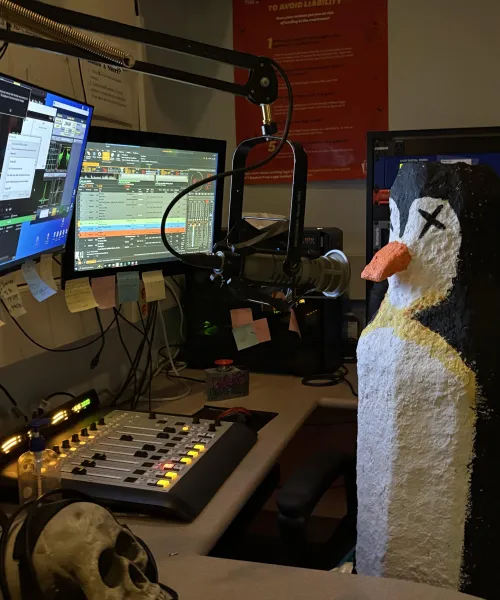 Penguin sitting at DJ booth
